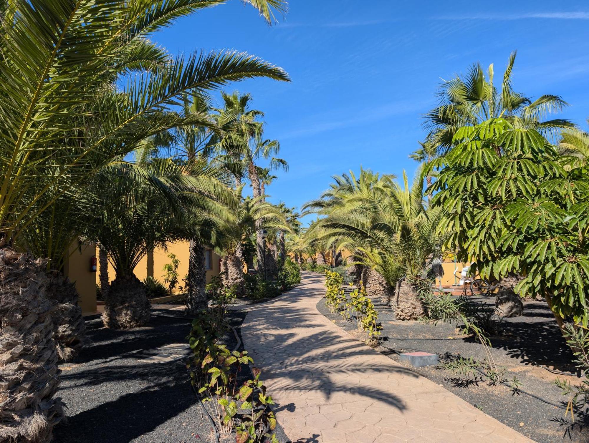 Ferienwohnung Casa Miro Corralejo Exterior foto