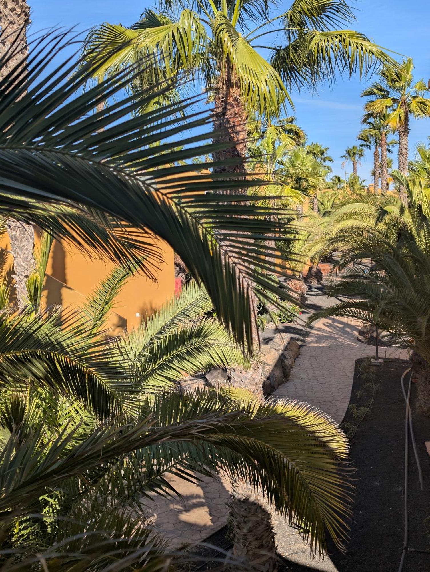 Ferienwohnung Casa Miro Corralejo Exterior foto